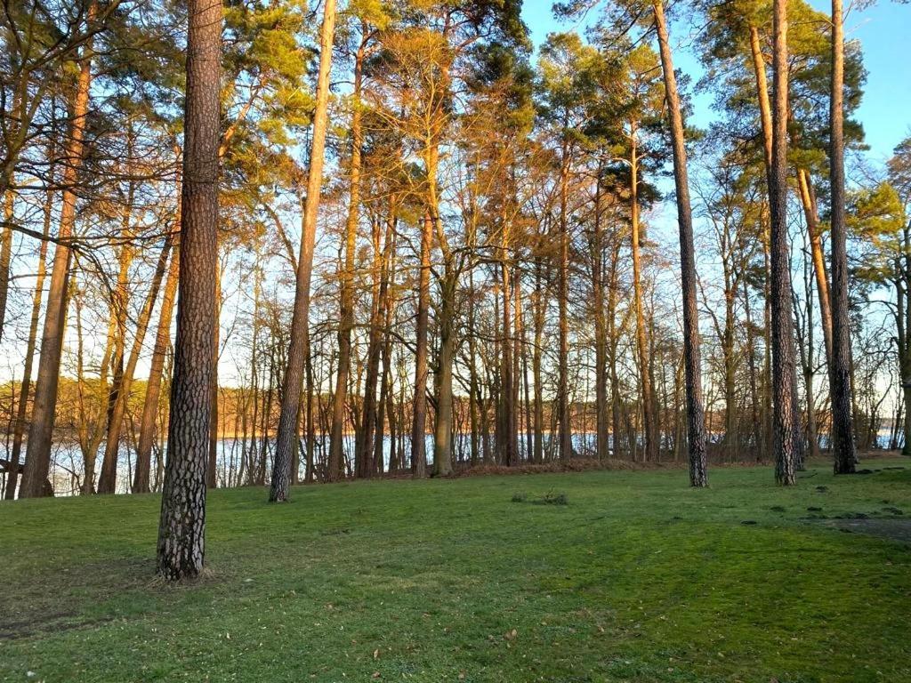 Ferienhaus Direkt Am See Uckermark 템플린 외부 사진
